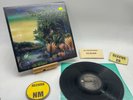 Fleetwood Mac- Tango In The Night NM/EX Ultrasonic Clean1987 Vinyl Record