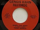 Terry Gengis Shape That Body / Gonna Be There 45 rpm NM Gengis Kahn Boogie Funk