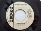 Northern Soul PROMO 45 - The Tempests 