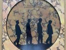 ECHO & THE BUNNYMEN- SONGS TO LEARN & SING RARE LTD UK PICTURE DISC NEW WAVE NM