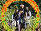 Israel Vibration Strength of My Life (Vinyl) 12