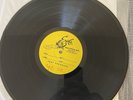 CRAZY RARE  2002 Sublime 40oz. To Freedom Picture Disc Test Pressing