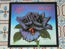 THIN LIZZY - Black Rose (A Rock Legend) LP HOLLAND 1979 Vertigo NM/EX