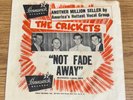 RARE BUDDY HOLLY 45 PICTURE SLEEVE NOT FADE AWAY / OH BOY BRUNSWICK 55035 NICE