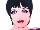 ORIGINAL ANDY WARHOL ART COVER LIZA MINELLI VINYL LP ORIGINAL PRESSING