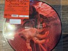Children Of Bodom – Something Wild LP 2009 Spinefarm Picture Disc Vinyl