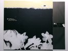 HOPE SANDOVAL & THE WARM INVENTIONS BAVARIAN FRUIT BREAD RTRADELP 031 INNER