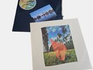 Pink Floyd Wish You Were Here 1975 VTG 1st Press Sleeve Postcard Inner NO RECORD