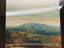 Dirty Projectors + Bjork Mount Wittenberg Orca Deluxe LTED Vinyl + SIGNED POSTER
