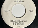 Beatles Please Please Me White Label VJ 45 VJ-581 with Vee Jay Sleeve