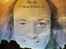Terry Riley - A Rainbow In Curved Air Vinyl LP