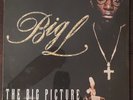2000 OG NEW  STILL SEALED Big L - Big Picture 2 LP OLD STOCK  rare rawkus