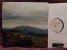 Björk, Dirty Projectors - Mount Wittenberg Orca - ltd LP vinyl - Numbered SIGNED