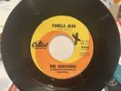 The Survivors 45 Pamela Jean bw After The Game Prod By Beach Boys Brian Wilson