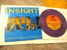 Insight/ What Will It Take?/ Victory Records/ 1990/ Purple Vinyl/ Punk Hardcore