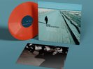 Echo and The Bunnymen | What Are You Going To Do With Your Life?