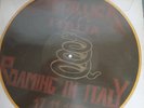 Limited picture edition Italian edition LP private Metallica / Roaming In Italy