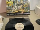 JELLO BIAFRA WITH D.O.A. - LAST SCREAM ... - + INSERT - UK  - 1989- A3
