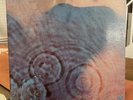 PINK FLOYD Meddle HARVEST SMAS-832 LP 1st pressing gatefold Nice Shape Photos