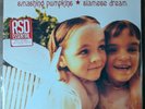 The Smashing Pumpkins Siamese Dream limited edition Red Smoke vinyl