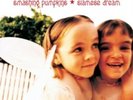 Smashing Pumpkins - Siamese Dream - Vinyl Record 2LP - 66 - F99z