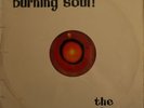 The Flames (6) - Burning Soul , LP, (Vinyl)