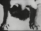 Saccharine Trust Paganicons (Vinyl) 12
