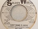 Pat Lewis   ** Can't Shake It Loose   **   Golden World  Demo  **   60's