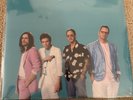 Weezer Vinyl Limited Edition Teal Color Record RSD LP 2019  SEALED
