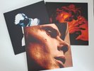 Paul Quinn - Unadulterated Deluxe Vinyl Box - Postcard Records, Edwyn Collins