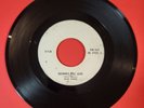 Dave Davies-Funny Face/Suzanahs Still Alive-Lebanon Import Promo 45-The Kinks