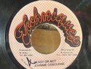 JOHNNIE OSBOURNE Ready Or Not TECHNIQUES Funk Breaks Intro + Soul Reggae 45