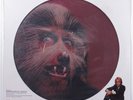 WARREN ZEVON Werewolves Of London ASYLUM AS-11386 12