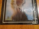 ATMOSPHERE STRUT - CLOUD ONE.CLASSIC DISCO BOOGIE L.P. PETER BROWN-PATRICK ADAMS