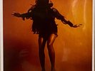 THE LAST SHADOW PUPPETS EVERYTHING YOU'VE COME TO EXPECT LP DELUXE W/7