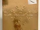 Jay Z & Kanye West Watch The Throne GOLD 2LP Vinyl Picture Disc  SAME DAY SHIP