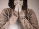 SIGNED Bjork - Debut Vinyl autograph