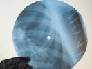 BLACK SABBATH BEHIND THE WALL X-Ray USSR Record Roentgen Bone Ribs Music Vinyl