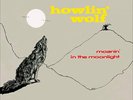 Moanin In The Moonlight + 4 Bonus Tracks - Howlin Wolf - Record Album, Vinyl LP
