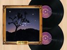 THE KILLERS Don't Waste Your Wishes 180G VINYL I'll Be Home For Christmas   1227