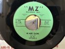 SPYDELS-RARE DOO WOP FROM 1961 MINT- VINYL-NO MORE TEASING/WANTED DEAD OR ALIVE