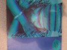 Silent Phase / (The Theory Of)1995 The first album released by Stacey Pullen