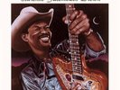 Clarence Gatemouth Brown Blackjack NEAR MINT Pgp Rtb Vinyl LP