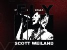 Scott Weiland If I Could Fly/Barbarella (Live)  7