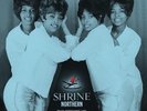 SHRINE NORTHERN Various - New & Sealed Northern Soul LP Vinyl (Kent) 60s Soul