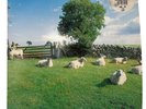 The KLF / Chill Out 1990 UK ORIGINAL LP KLF Communications Records JAMS LP5