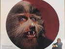 Warren Zevon, Werewolves of London, 1978 Asylum AS 11386 Picture Disc Sealed