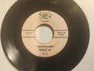THE CHANCELLORS On Tour / Route 66 ...Original 45 on the DC Label