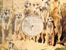 Rmb Love EP Vinyl Single 12inch NEAR MINT Le Petit Prince