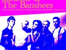 Siouxsie And The Banshees - Dust To Rust: Live At Le Zénith, Paris, France, 28t
